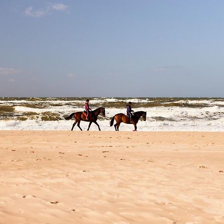 Bloemendaal Hotel Collection Apartments Екстериор снимка